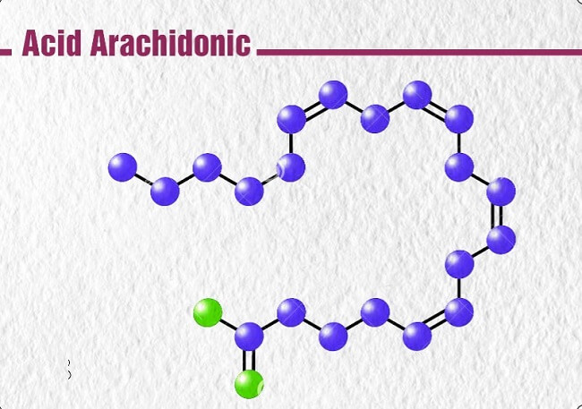 Indomethacin ức chế quá trình tổn hợp postaglandin từ acid arachidonic