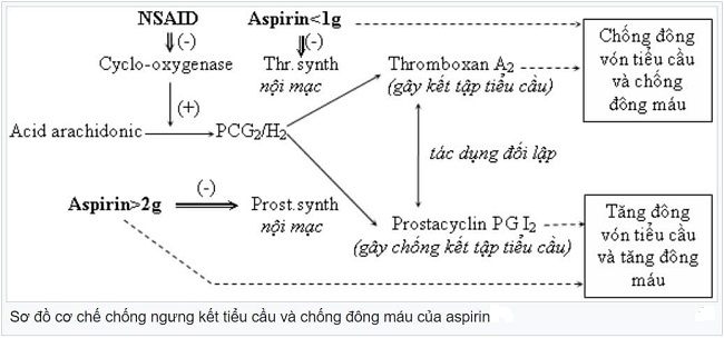 Cơ chế chống tập kết tiểu cầu của aspirin