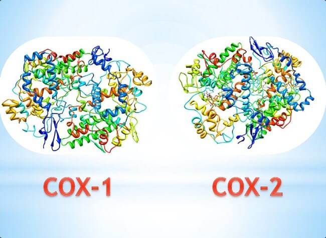COX-1 và COX-2 tham gia vào cơ chế tác dụng của NSAID