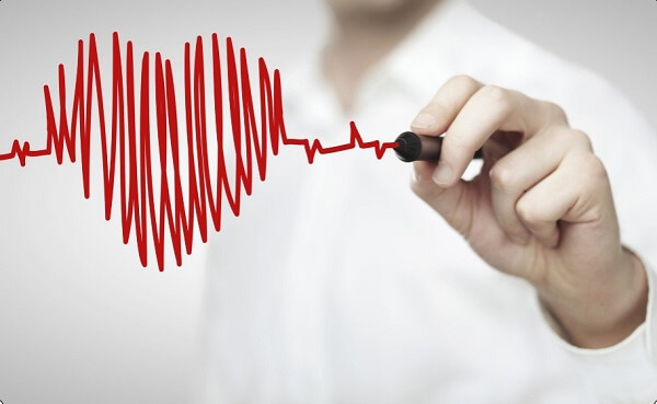 Cỏ máu hỗ trợ điều trị bệnh tim mạch