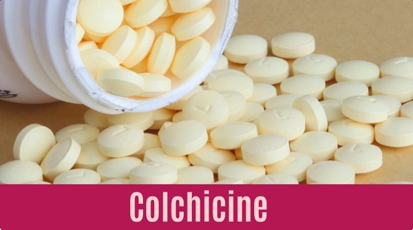 Thuốc Colchicine điều trị Gout cấp