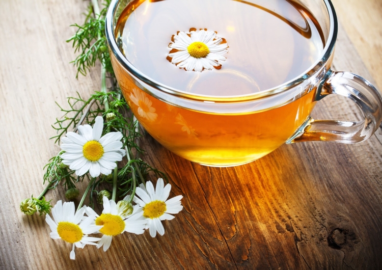 Bài thuốc chữa đau đầu gối bằng trà hoa cúc