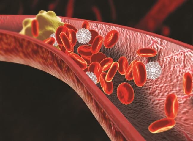 Deca durabolin tương tác với các thuốc chống đông máu