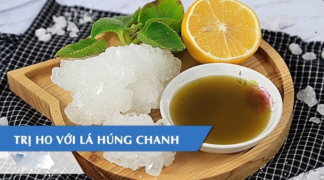 Lá húng chanh trị ho