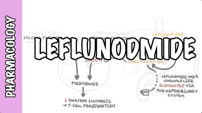 Leflunomide là thuốc gì?
