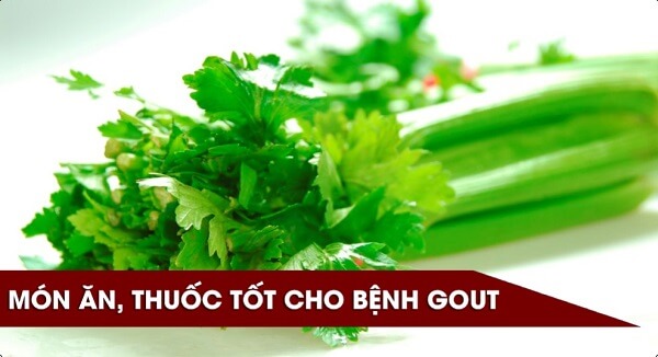 Cần tây có thể được dùng trong các món ăn cho người bệnh gout