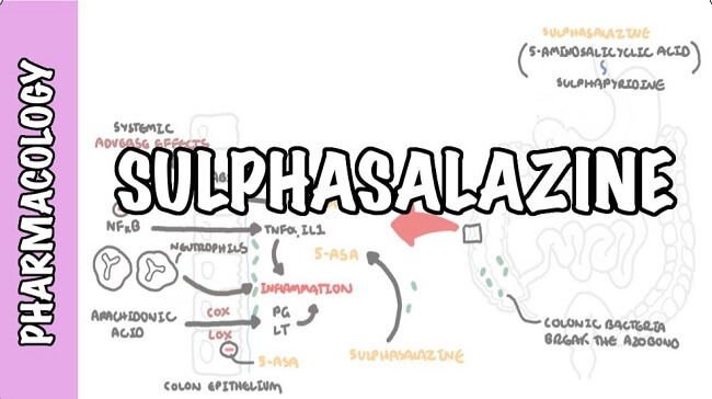 Sulfasalazine là thuốc gì?