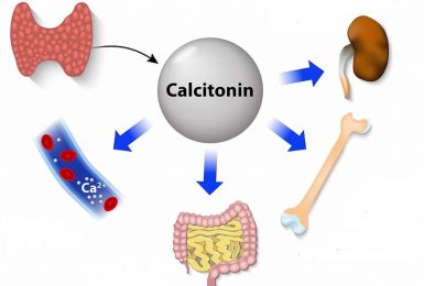 Cẩm nang kiến thức về thuốc loãng xương - Calcitonin