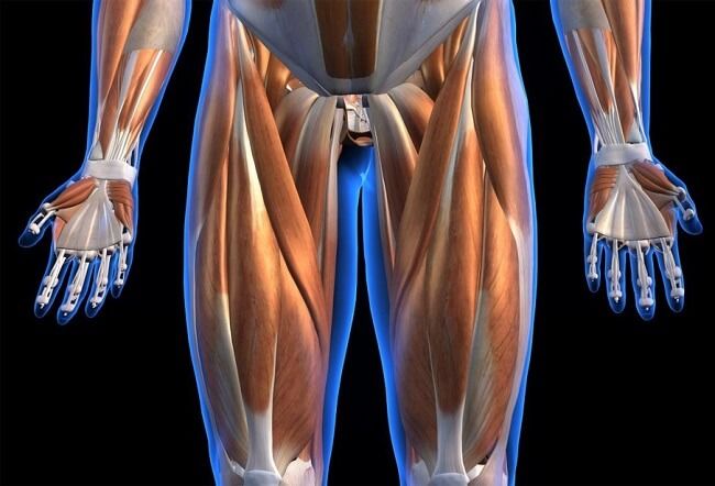 Căng cơ chân xuất hiện tại nhiều vị trí cơ của chân