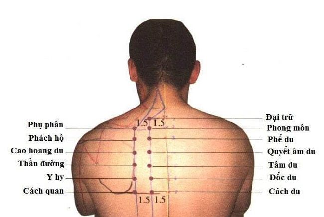 Vị trí các huyệt vị cần xác định trước khi massage cho người thoát vị đĩa đệm cột sống thắt lưng